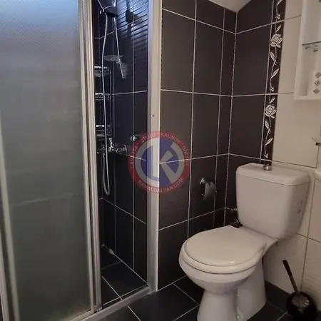 Starlight * داليان