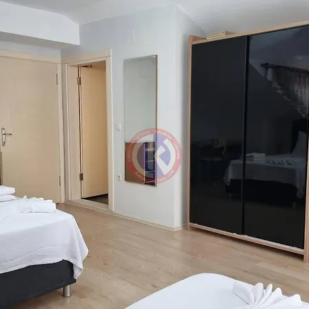 فيلة Starlight *