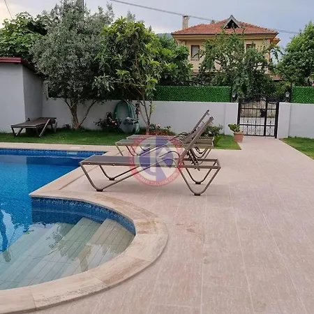 Starlight فيلة *