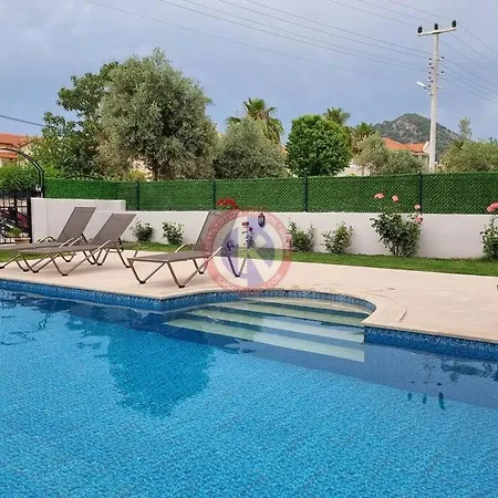 Starlight * داليان