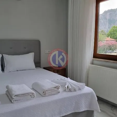 فيلة Starlight *