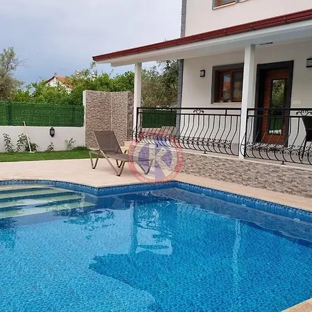 Starlight * داليان