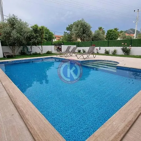 Starlight فيلة داليان