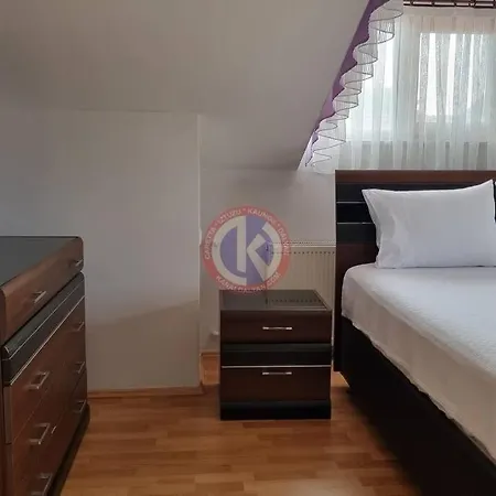 Starlight فيلة *