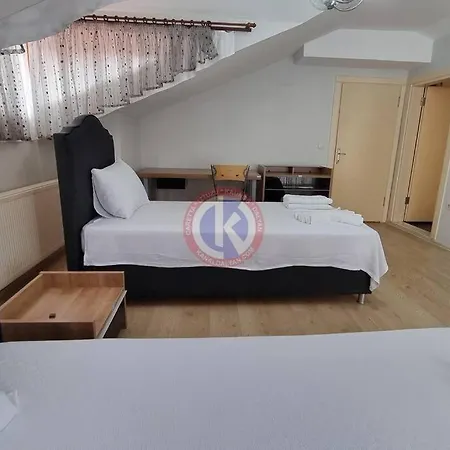 فيلة Starlight *